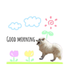 バデイ＆而今＆弥勒（個別スタンプ：1）