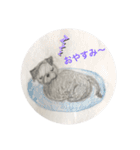 黒パグ ＆ 黒ペキニーズ（個別スタンプ：14）
