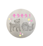黒パグ ＆ 黒ペキニーズ（個別スタンプ：15）