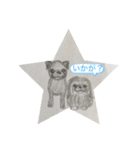 黒パグ ＆ 黒ペキニーズ（個別スタンプ：17）