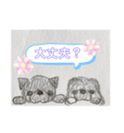 黒パグ ＆ 黒ペキニーズ（個別スタンプ：20）