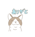 気ままに生きたい猫（個別スタンプ：5）