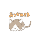 気ままに生きたい猫（個別スタンプ：6）