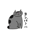 ネコニューていねい（個別スタンプ：17）