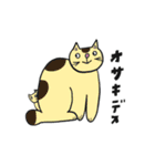 ネコニューていねい（個別スタンプ：18）