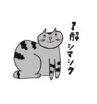 ネコニューていねい（個別スタンプ：25）