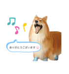 なぎファミリー（個別スタンプ：1）