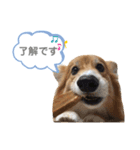 なぎファミリー（個別スタンプ：2）