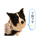 なぎファミリー（個別スタンプ：3）