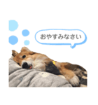 なぎファミリー（個別スタンプ：5）