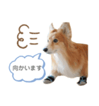 なぎファミリー（個別スタンプ：7）