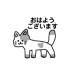 いろんなにゃんこ☆（敬語）（個別スタンプ：3）
