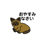 いろんなにゃんこ☆（敬語）（個別スタンプ：4）