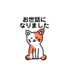 いろんなにゃんこ☆（敬語）（個別スタンプ：8）