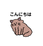 いろんなにゃんこ☆（敬語）（個別スタンプ：9）