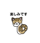 いろんなにゃんこ☆（敬語）（個別スタンプ：13）