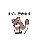 いろんなにゃんこ☆（敬語）（個別スタンプ：18）