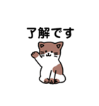 いろんなにゃんこ☆（敬語）（個別スタンプ：20）