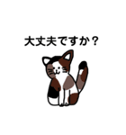 いろんなにゃんこ☆（敬語）（個別スタンプ：24）