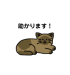 いろんなにゃんこ☆（敬語）（個別スタンプ：29）