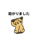 いろんなにゃんこ☆（敬語）（個別スタンプ：30）