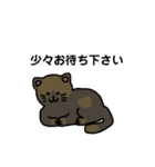 いろんなにゃんこ☆（敬語）（個別スタンプ：31）