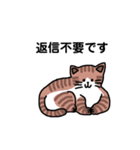 いろんなにゃんこ☆（敬語）（個別スタンプ：32）
