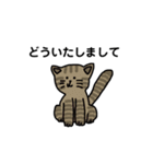 いろんなにゃんこ☆（敬語）（個別スタンプ：38）