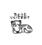 いろんなにゃんこ☆（敬語）（個別スタンプ：39）