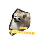 はーこ先生の名言集 第1弾。（個別スタンプ：3）