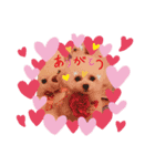 ♪トイプードルのリリーです♪4（個別スタンプ：5）