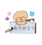 トイプードル【アプリコット】※メモ書き編（個別スタンプ：6）