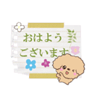 トイプードル【アプリコット】※メモ書き編（個別スタンプ：9）