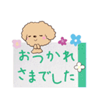 トイプードル【アプリコット】※メモ書き編（個別スタンプ：37）