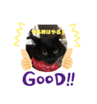 1.2.3ねこ（個別スタンプ：8）