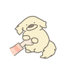 ぷんたかぷんた2（個別スタンプ：9）