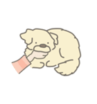 ぷんたかぷんた2（個別スタンプ：10）