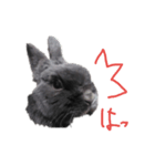 うさぎのひねりん2（個別スタンプ：5）