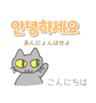 韓国語 日本語・ルビつき 丁寧語 猫（個別スタンプ：1）