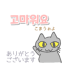韓国語 日本語・ルビつき 丁寧語 猫（個別スタンプ：2）