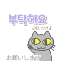 韓国語 日本語・ルビつき 丁寧語 猫（個別スタンプ：8）