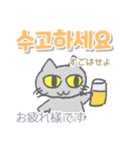 韓国語 日本語・ルビつき 丁寧語 猫（個別スタンプ：9）