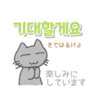 韓国語 日本語・ルビつき 丁寧語 猫（個別スタンプ：11）