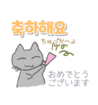 韓国語 日本語・ルビつき 丁寧語 猫（個別スタンプ：13）