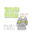 韓国語 日本語・ルビつき 丁寧語 猫（個別スタンプ：15）