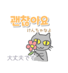韓国語 日本語・ルビつき 丁寧語 猫（個別スタンプ：17）