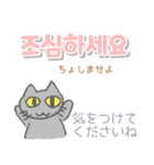 韓国語 日本語・ルビつき 丁寧語 猫（個別スタンプ：18）