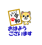 柴犬の日常 よろしく令和1（個別スタンプ：1）