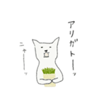猫を追うより鰹節を隠せ2（個別スタンプ：24）