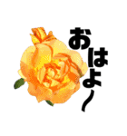 yasuおばさんの薔薇言葉3（個別スタンプ：1）